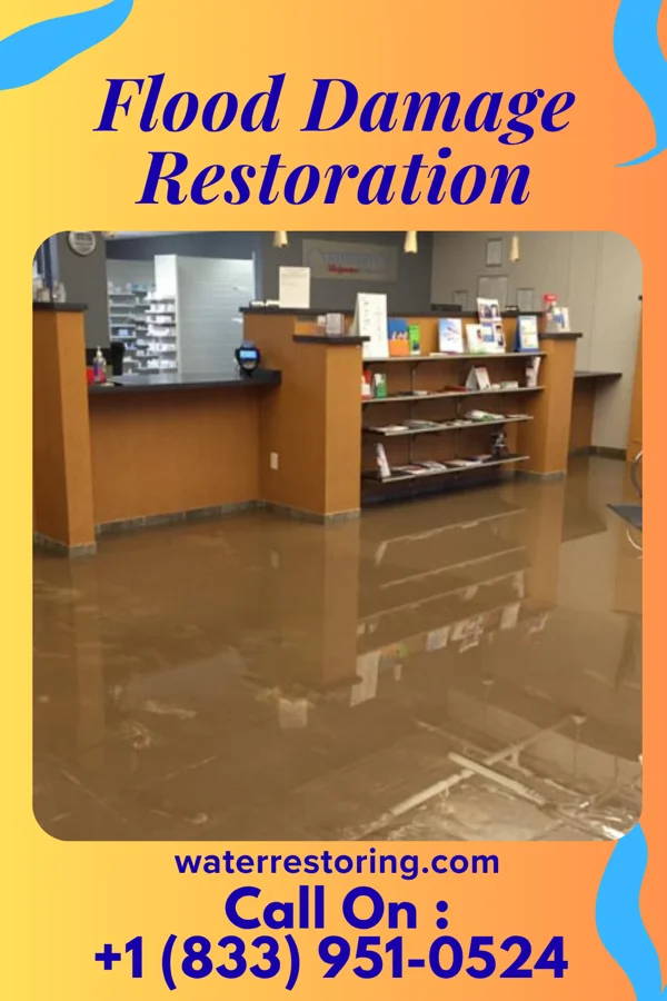 Flood Damage Restoration in Gaylesville, AL