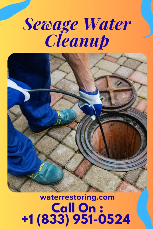 Sewage Water Cleanup in Gaylesville, AL